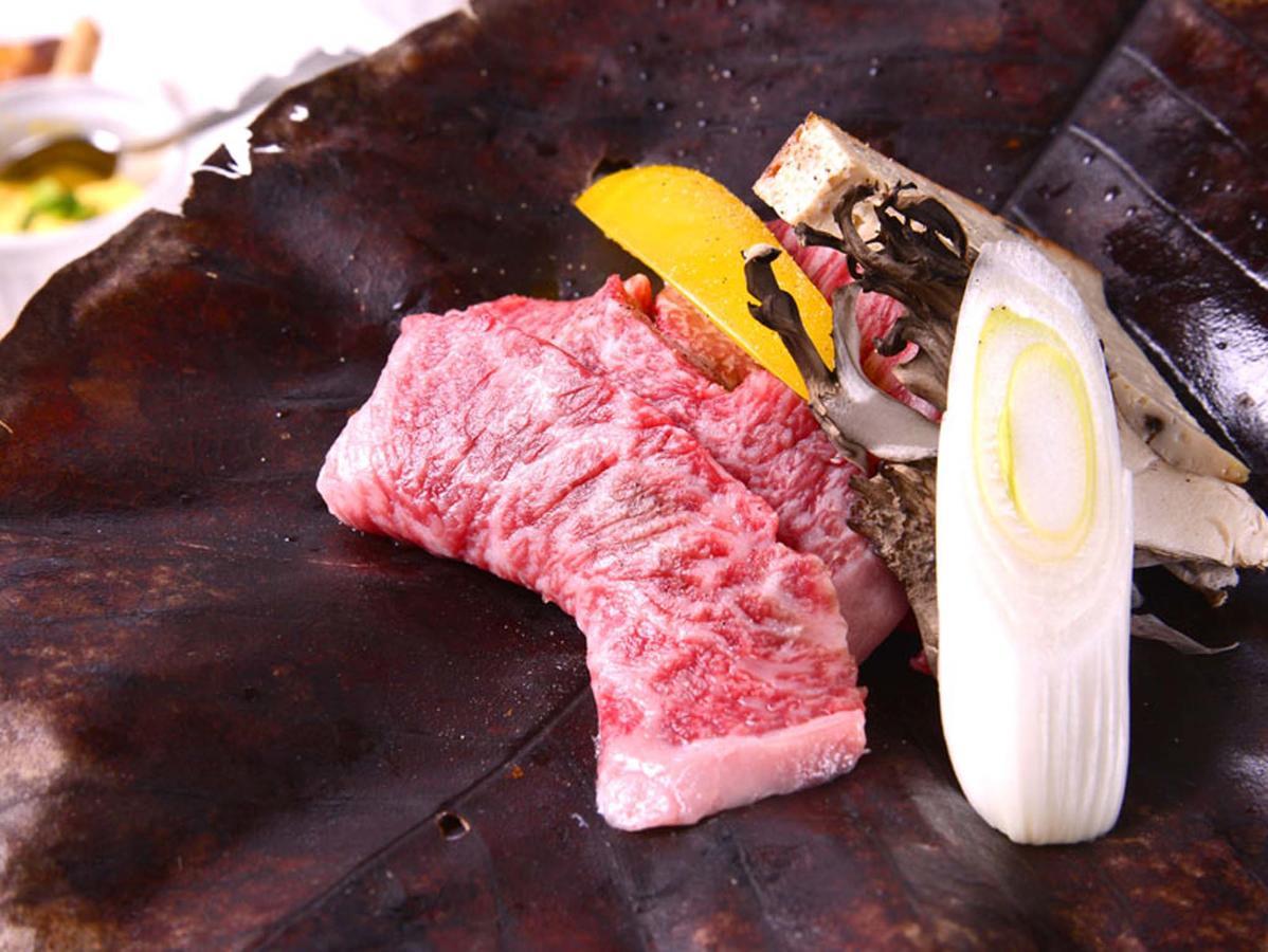 Resort Inn Chirorian Takayama (Gifu) Zewnętrze zdjęcie