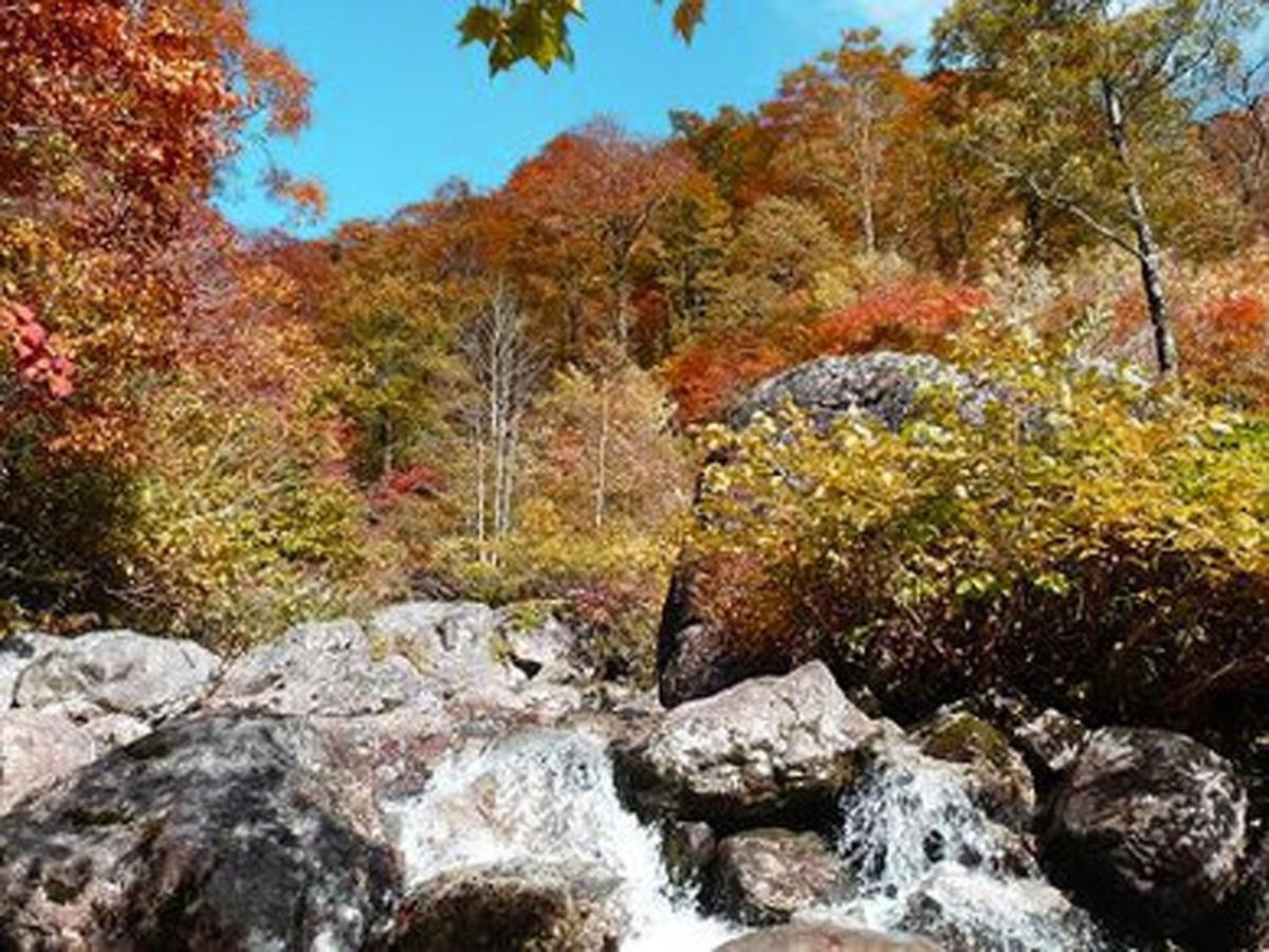 Resort Inn Chirorian Takayama (Gifu) Zewnętrze zdjęcie